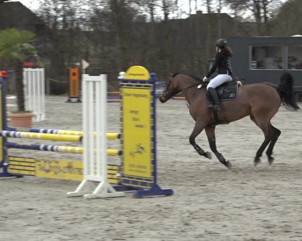 Reitturnier Handorf 2023