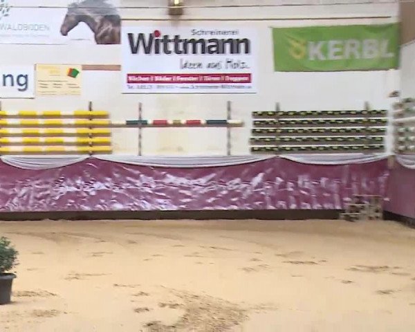 Reitturnier Eicherloh RH Laurent/Obb. 2023