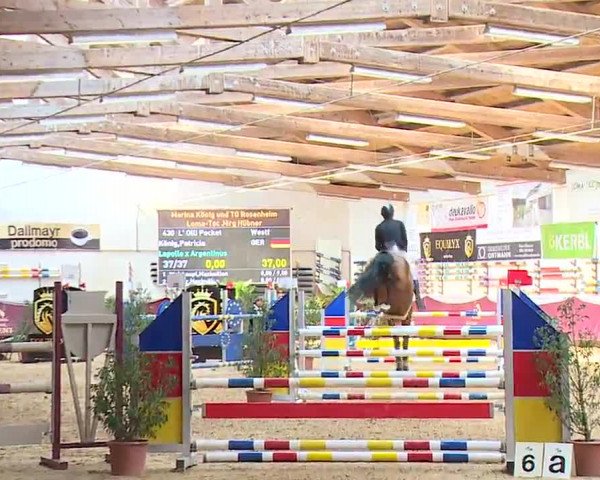 Reitturnier Eicherloh RH Laurent/Obb. 2023