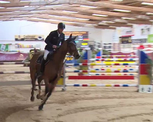 Reitturnier Eicherloh RH Laurent/Obb. 2023