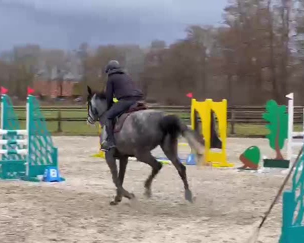 Video of Calygra FRH