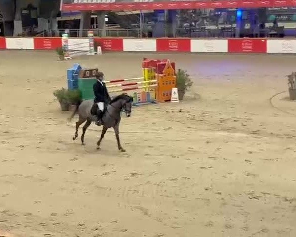 Video of Calygra FRH