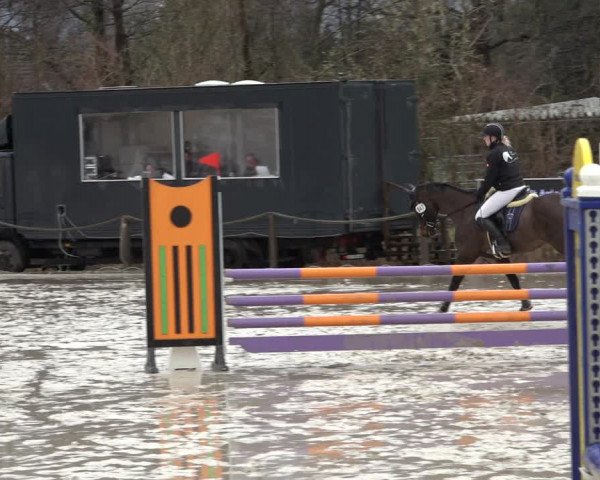 Reitturnier Handorf 2023