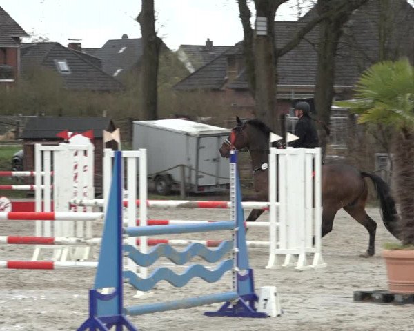 Reitturnier Handorf 2023