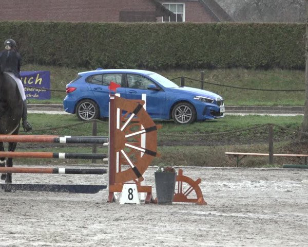 Reitturnier Handorf 2023