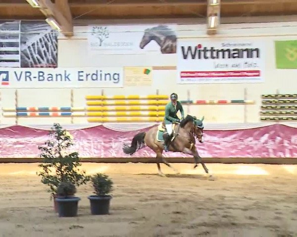 Reitturnier Eicherloh RH Laurent/Obb. 2023