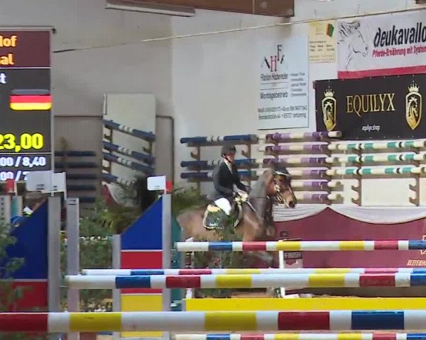 Reitturnier Eicherloh RH Laurent/Obb. 2023