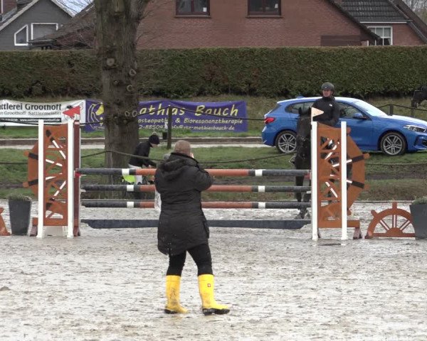 Reitturnier Handorf 2023