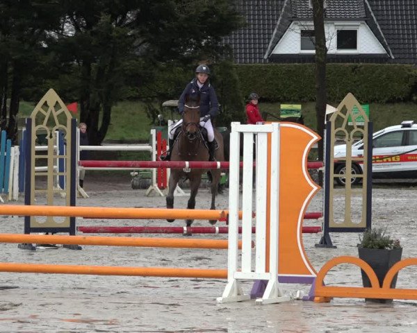 Reitturnier Handorf 2023