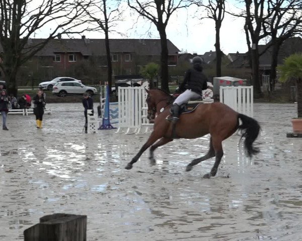 Reitturnier Handorf 2023