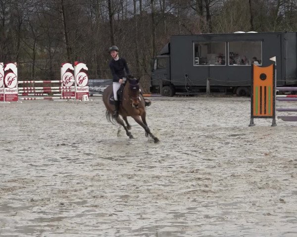 Reitturnier Handorf 2023