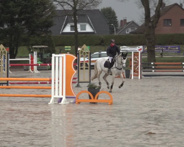 Reitturnier Handorf 2023