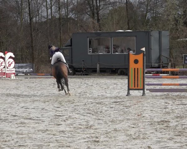 Reitturnier Handorf 2023