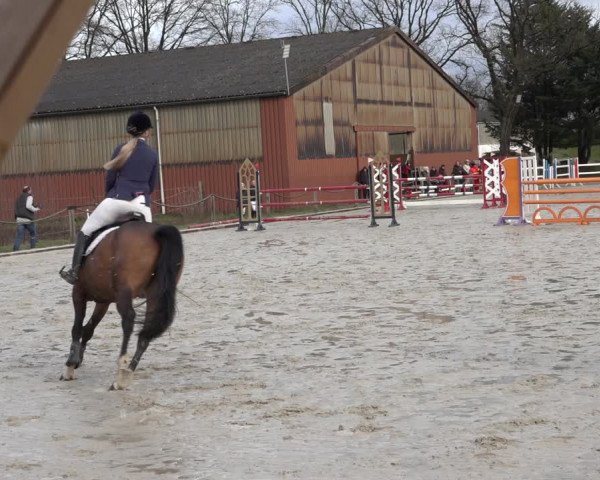 Reitturnier Handorf 2023