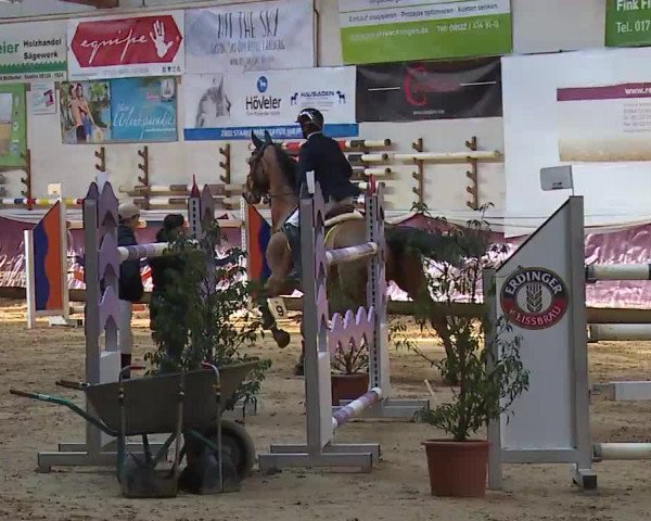 Reitturnier Eicherloh RH Laurent/Obb. 2023