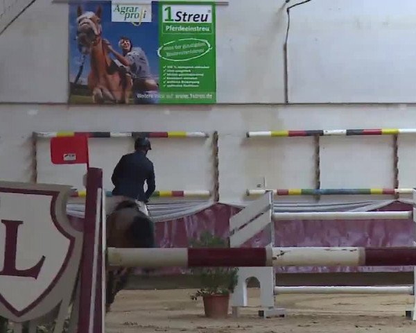 Reitturnier Eicherloh RH Laurent/Obb. 2023