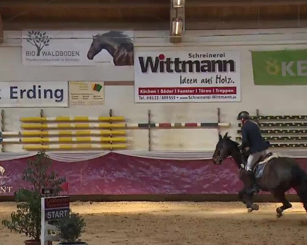 Reitturnier Eicherloh RH Laurent/Obb. 2023