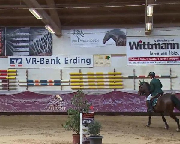 Reitturnier Eicherloh RH Laurent/Obb. 2023