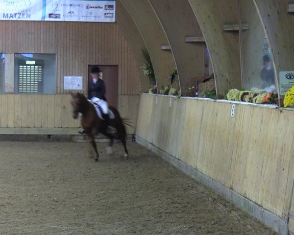 Reitturnier Sörup 2021