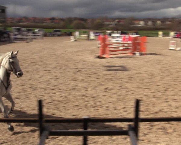 Reitturnier Zwickau 2023