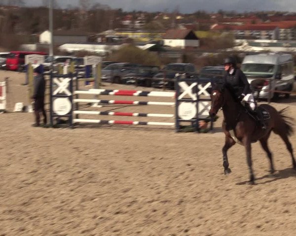 Reitturnier Zwickau 2023