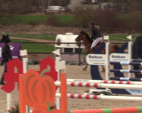 Reitturnier Zwickau 2023