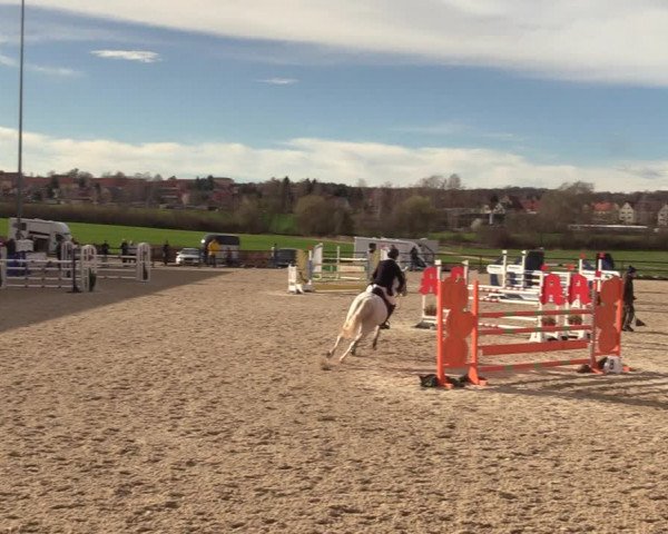 Reitturnier Zwickau 2023