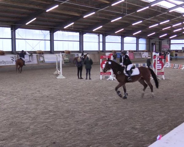 Reitturnier Jubiläumsturnier RC Damp - Reiterhof Tramm 2023