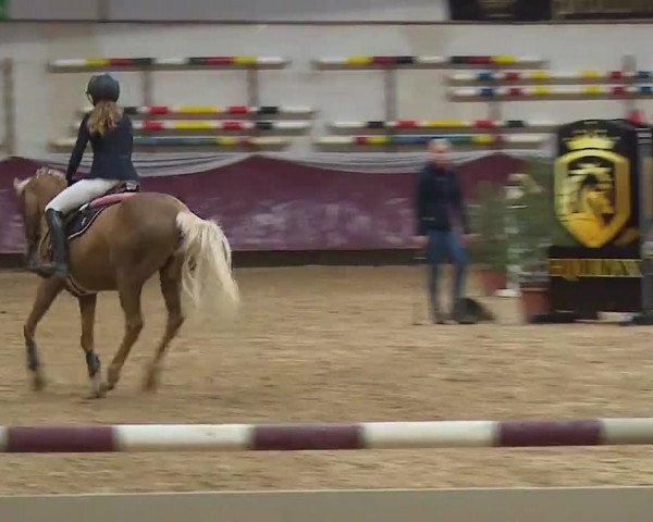 Reitturnier Eicherloh RH Laurent/Obb. 2023