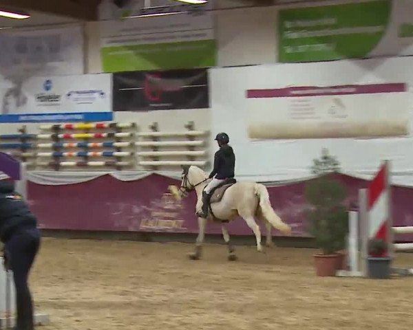Reitturnier Eicherloh RH Laurent/Obb. 2023
