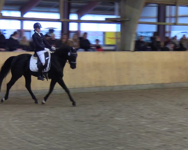 Reitturnier Sörup 2021