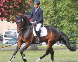 broodmare Dschungelfee KS (Oldenburg, 2015, from Diatendro)