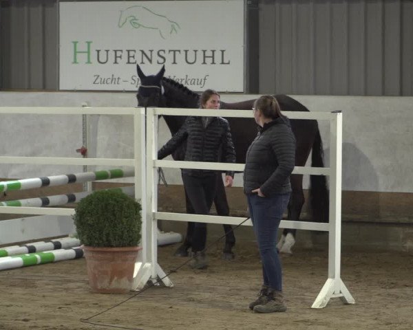 Freispringwettbewerb Lindlar 2023