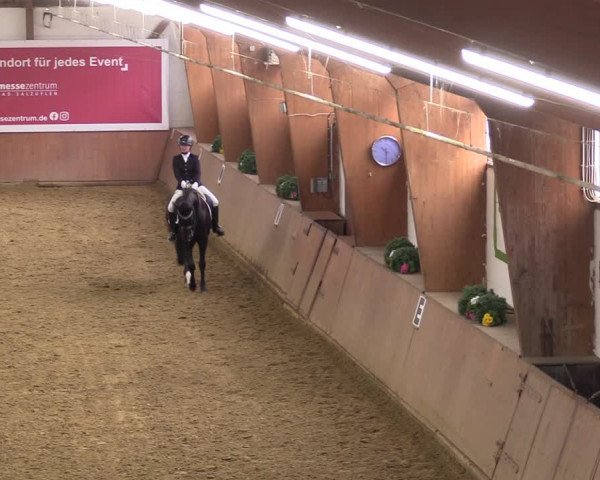 Reitturnier Bad Salzuflen 2023