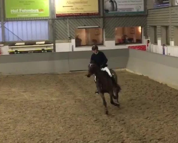 Video von Bibesco Frivol