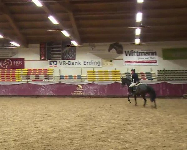 Reitturnier Eicherloh RH Laurent/Obb. 2023
