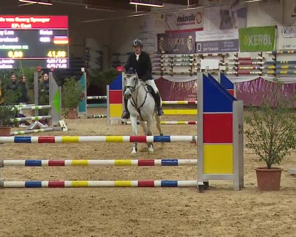 Reitturnier Eicherloh RH Laurent/Obb. 2023