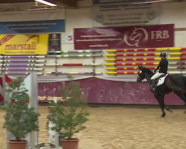 Reitturnier Eicherloh RH Laurent/Obb. 2023