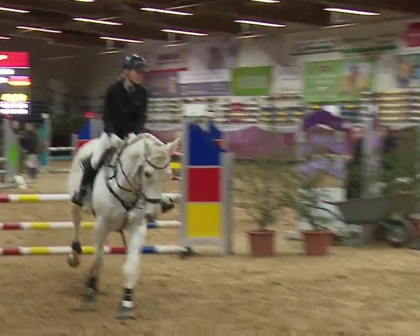 Reitturnier Eicherloh RH Laurent/Obb. 2023