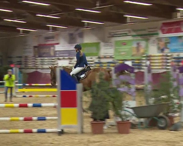 Reitturnier Eicherloh RH Laurent/Obb. 2023