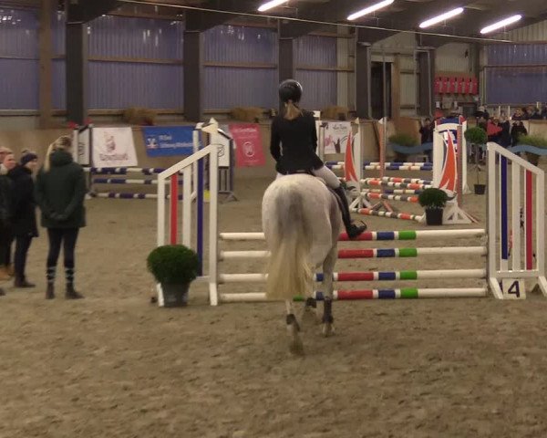 Reitturnier Jubiläumsturnier RC Damp - Reiterhof Tramm 2023