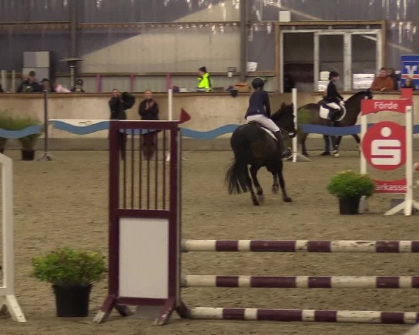 Reitturnier Jubiläumsturnier RC Damp - Reiterhof Tramm 2023