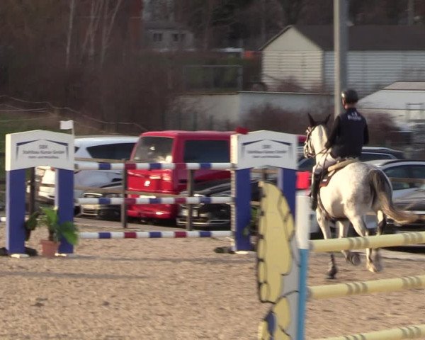 Reitturnier Zwickau 2023