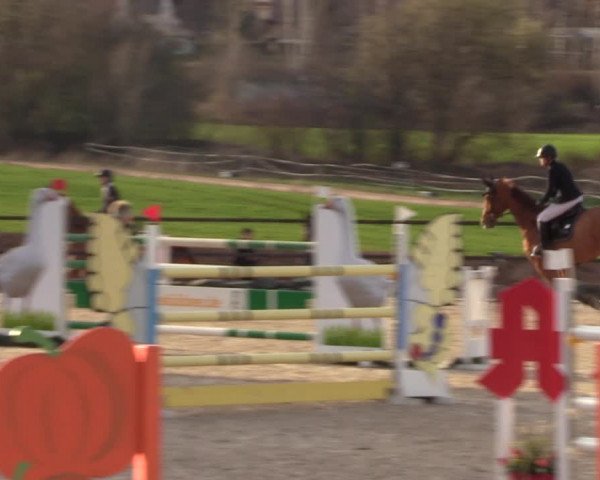 Reitturnier Zwickau 2023