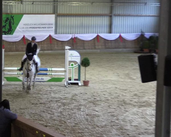 Reitturnier Goch 2023
