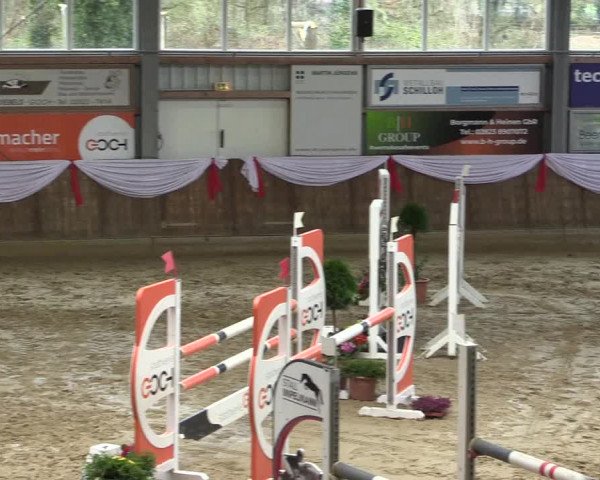 Reitturnier Goch 2023