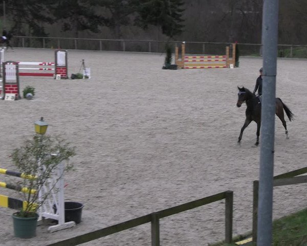 Reitturnier Erkrath 2023