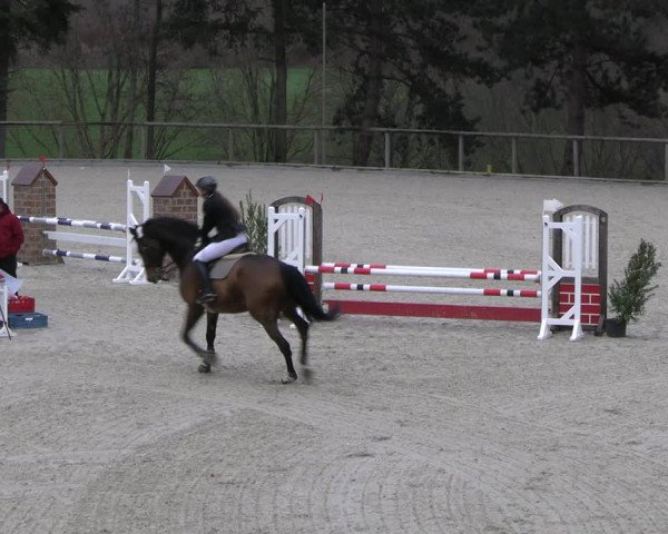 Reitturnier Erkrath 2023