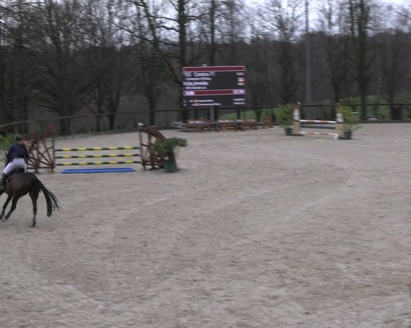 Reitturnier Erkrath 2023