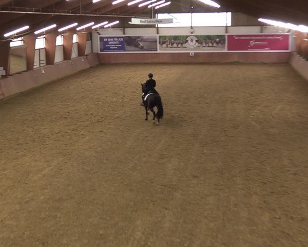 Reitturnier Bad Salzuflen 2023
